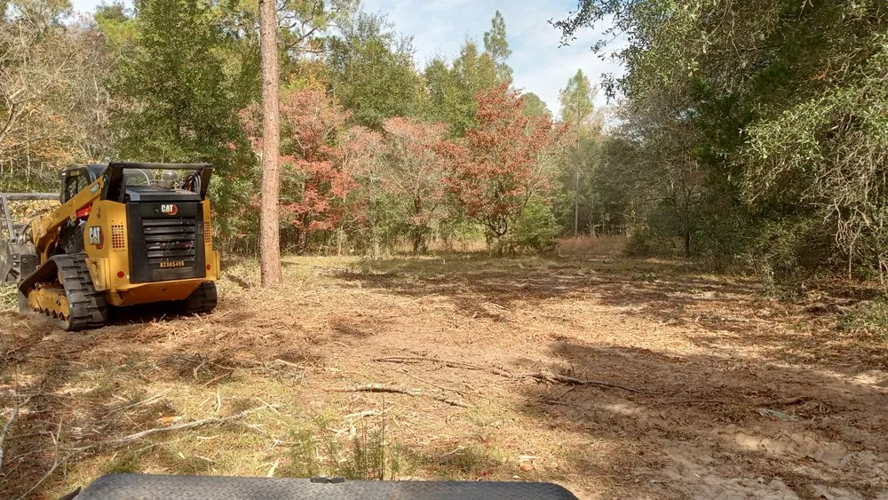 Professional lawn care service with custom design across Glennville, GA - Circle C Farms Land Management
