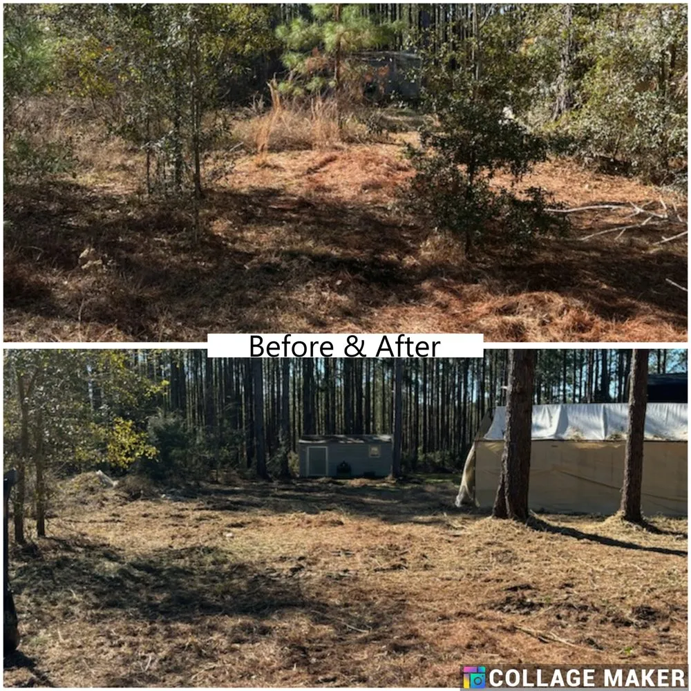 Expert residential landscaping near you across Glennville, GA - Circle C Farms Land Management