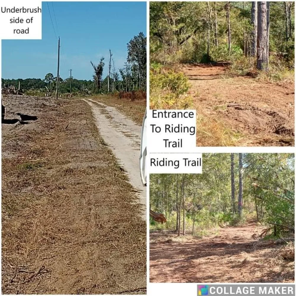 Top-rated yard cleanup service in Glennville, GA by Circle C Farms Land Management