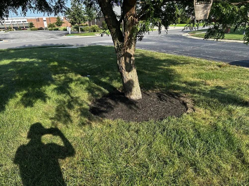 Reliable yard cleanup service in Indianapolis, IN - Circle City Landscaping