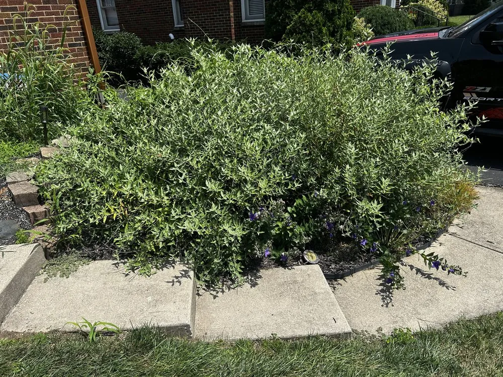 Reliable residential landscaping in Indianapolis, IN by Circle City Landscaping