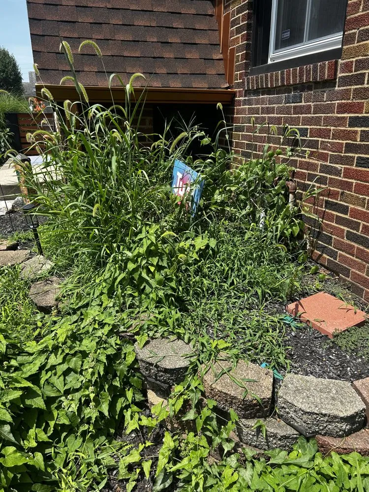 Trusted lawn mowing service in Indianapolis, IN - Circle City Landscaping