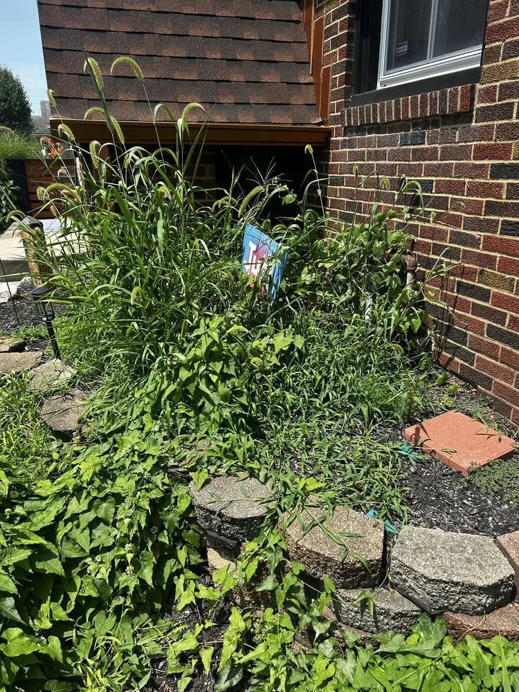 Top-rated outdoor landscaping experts serving Indianapolis, IN - Circle City Landscaping