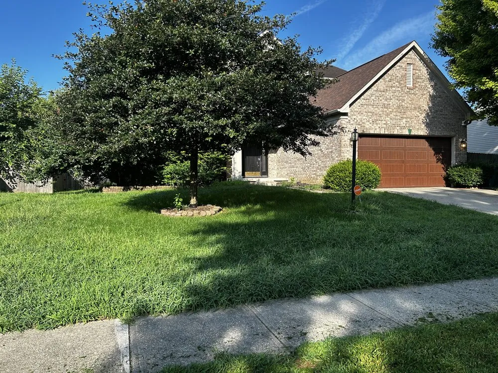 Reliable landscape installation for year-round maintenance across Indianapolis, IN - Circle City Landscaping