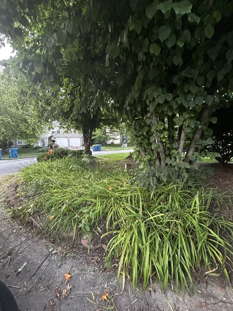 Top-rated lawn mowing service in Indianapolis, IN - Circle City Landscaping