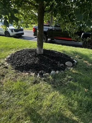 Circle City Landscaping Logo