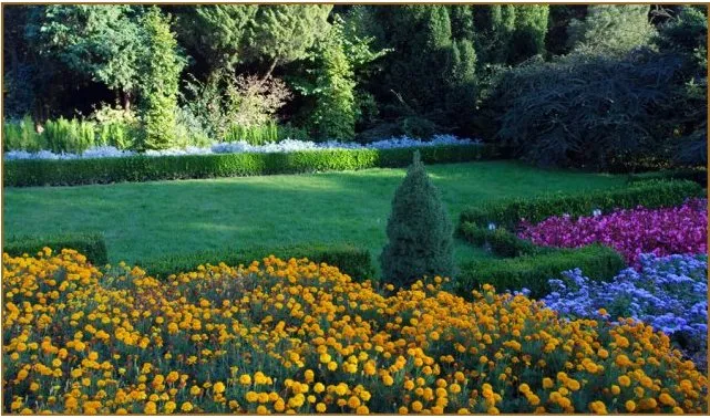 Custom yard maintenance for beautiful yards in Indianapolis, IN by Circle City Outdoors