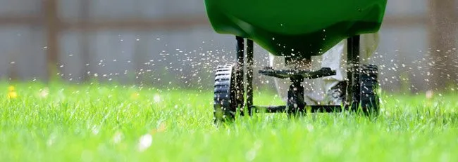 Local lawn care service near you across Indianapolis, IN - Circle City Outdoors