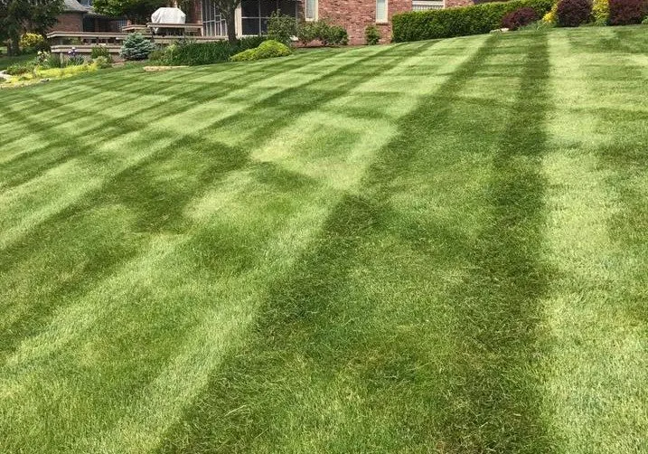 Local landscape design for year-round maintenance across Indianapolis, IN - Circle City Outdoors