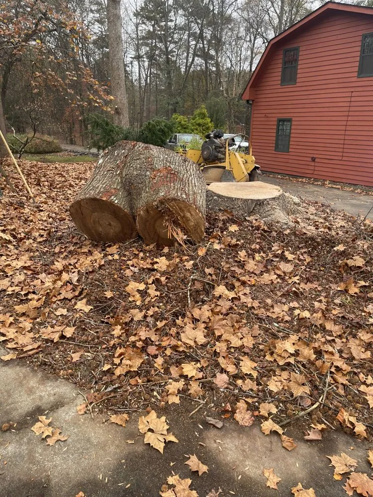 Trusted lawn mowing service for outdoor upgrades in Jefferson, GA by Circle E Stump Grinding
