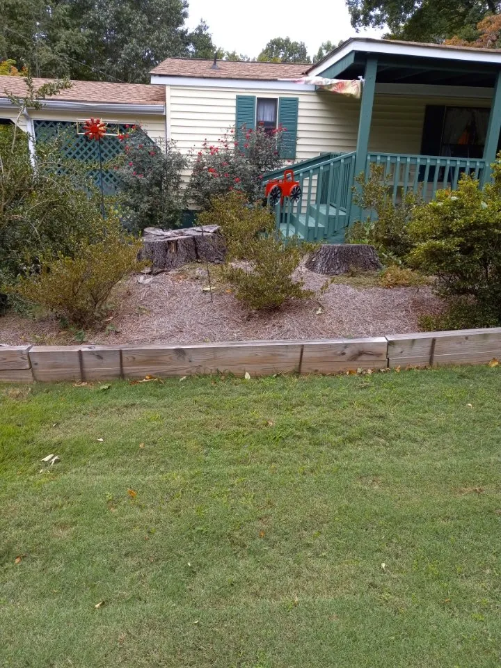 Expert yard maintenance experts serving Jefferson, GA - Circle E Stump Grinding