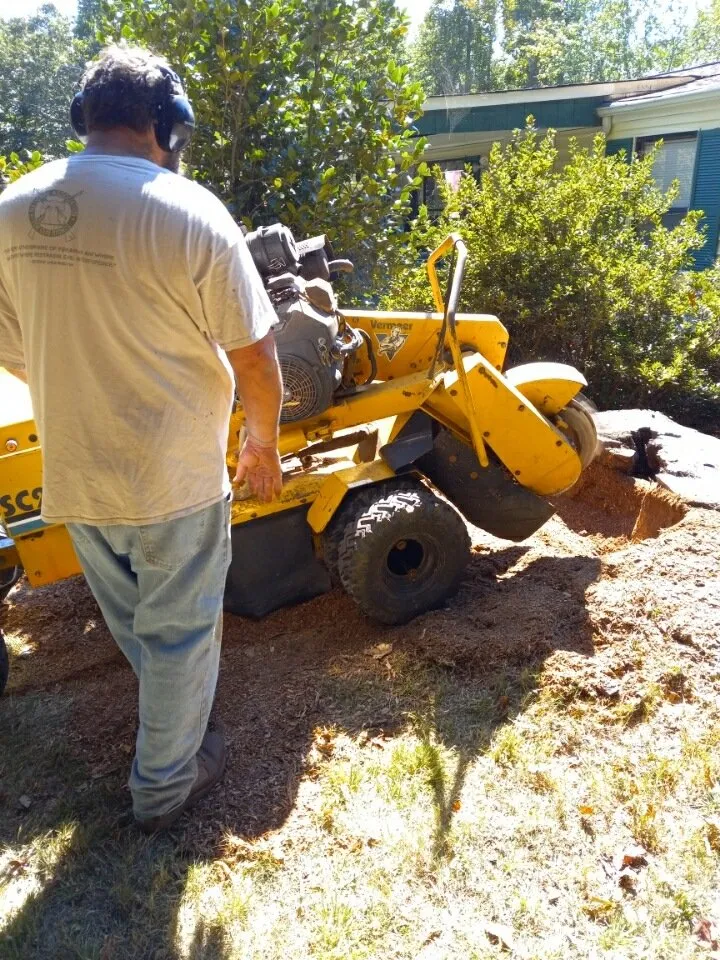Local lawn mowing service for residential properties in Jefferson, GA by Circle E Stump Grinding