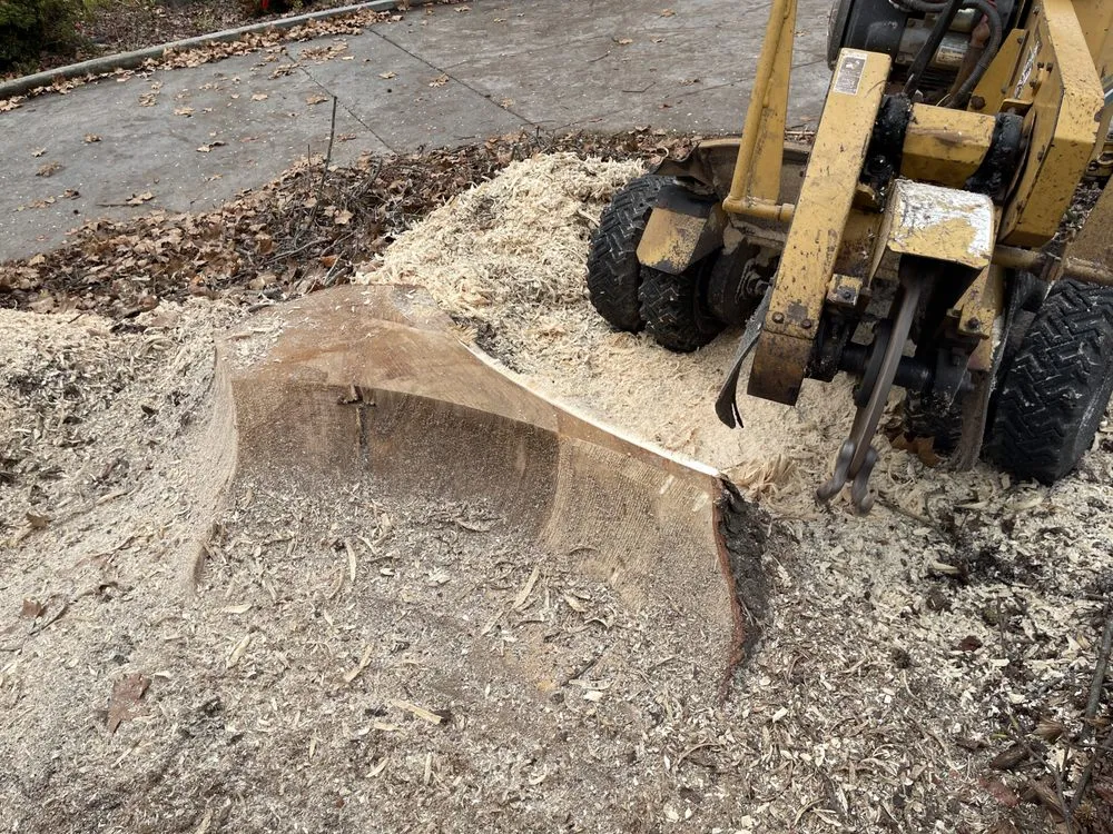 Affordable lawn care service in Jefferson, GA - Circle E Stump Grinding