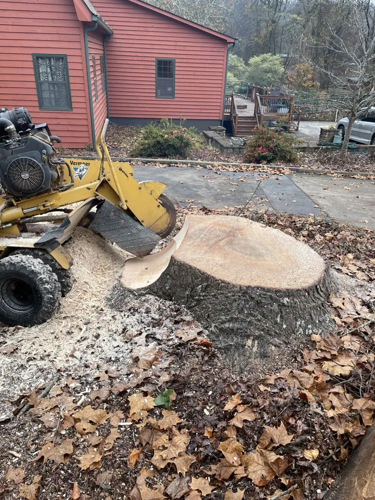 Local lawn mowing service in Jefferson, GA - Circle E Stump Grinding