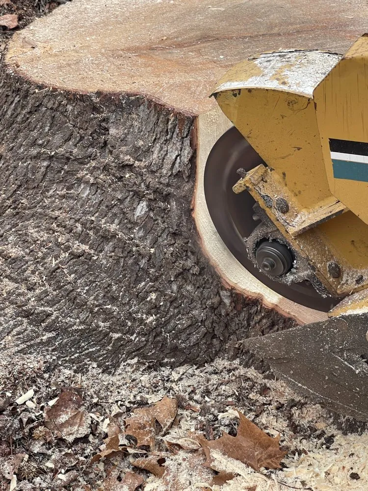 Affordable garden landscaping in Jefferson, GA by Circle E Stump Grinding