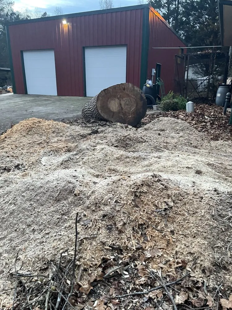 Trusted yard maintenance in Jefferson, GA by Circle E Stump Grinding