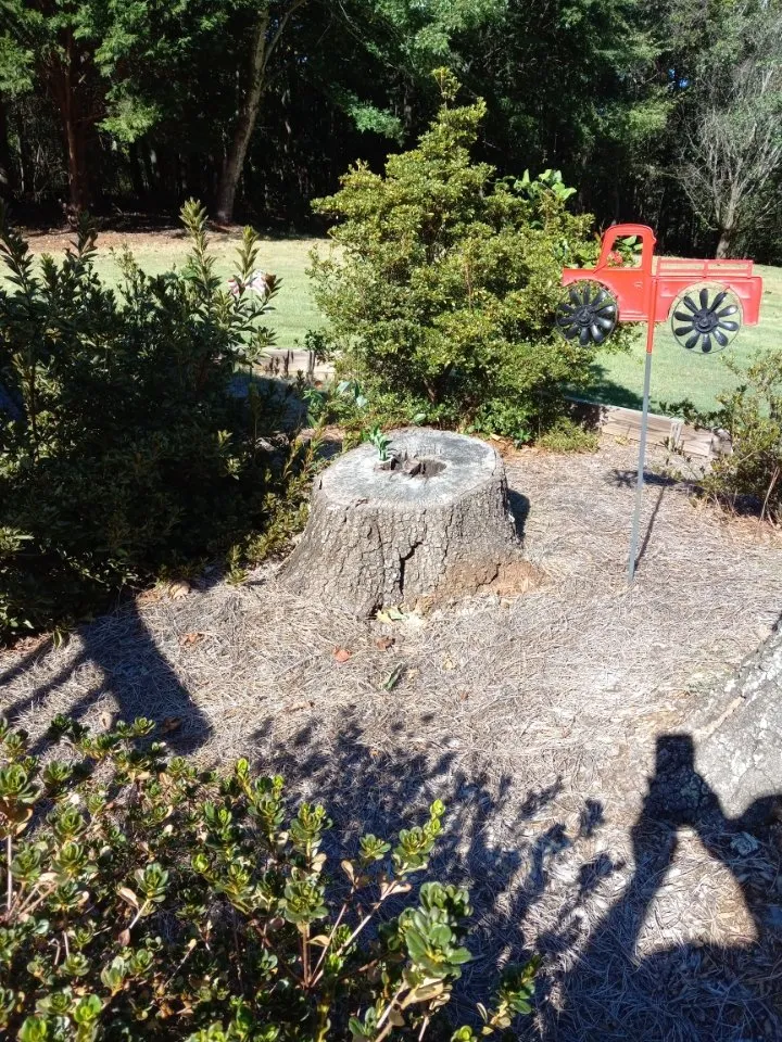 Reliable residential landscaping near you in Jefferson, GA by Circle E Stump Grinding