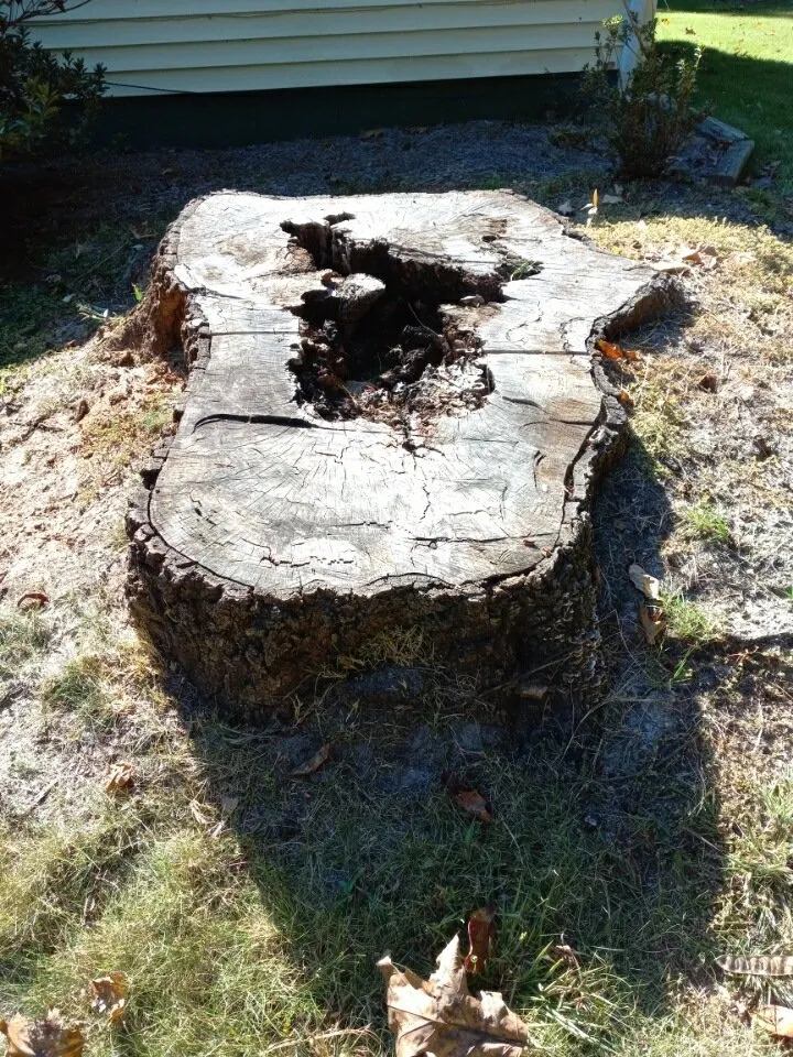 Affordable garden landscaping experts serving Jefferson, GA - Circle E Stump Grinding