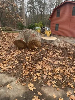 Circle E Stump Grinding Logo