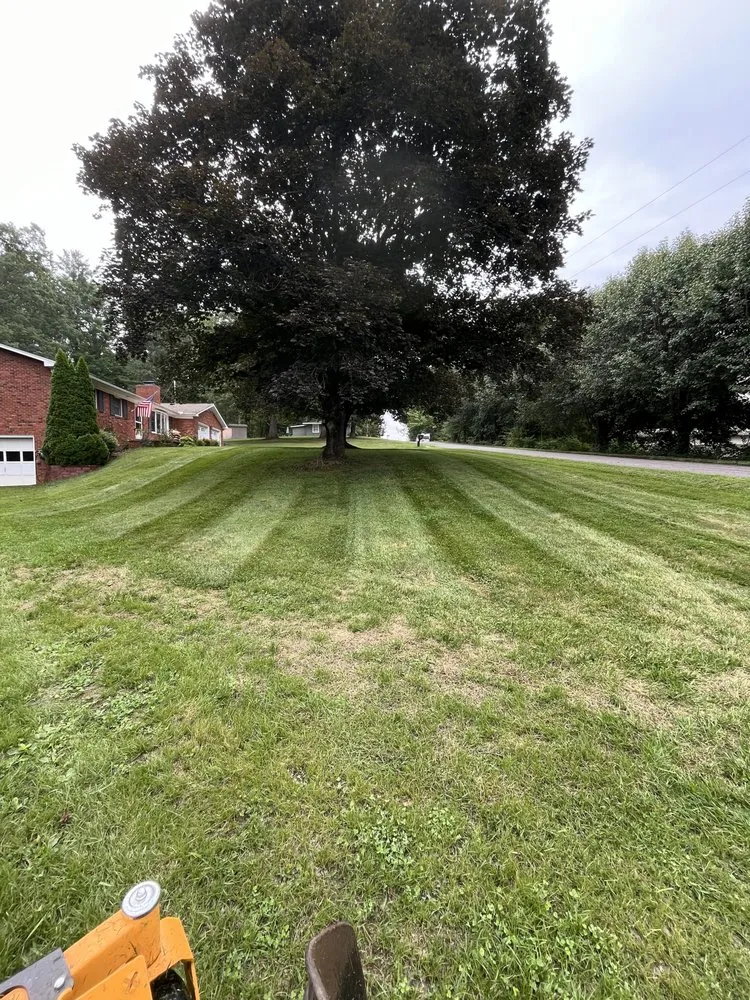 Reliable yard cleanup service in Weaverville, NC - Circle F Outdoor Services
