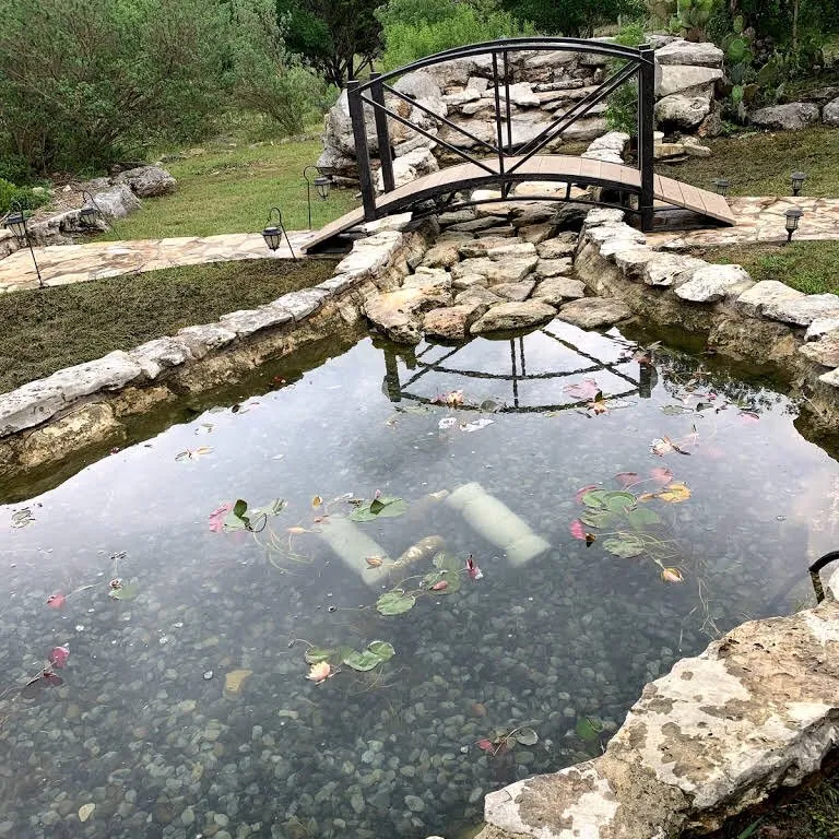 Trusted landscaping services for year-round maintenance in San Antonio, TX by Circle G Pros Landscaping