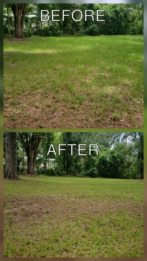 Local yard maintenance for residential properties across Live Oak, FL - Circle H Services