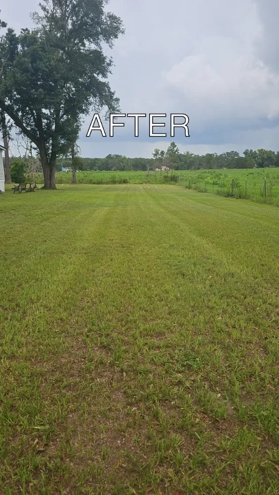Local yard maintenance in Live Oak, FL - Circle H Services