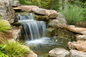 Affordable residential landscaping experts serving Philadelphia, PA - Circle Landscape Services