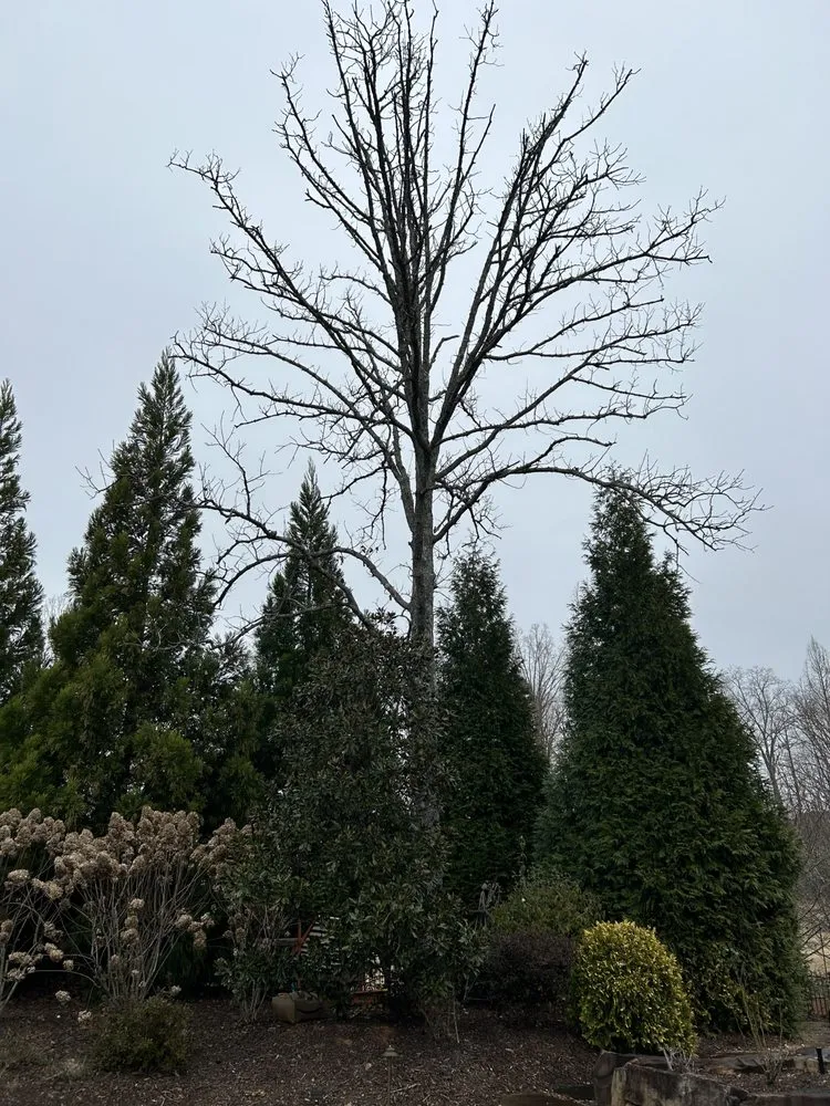 Trusted landscaping services in Alpharetta, GA - Circle One Landscaping