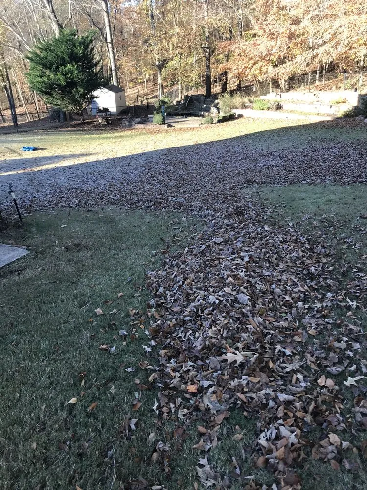 Affordable landscaping services experts serving Alpharetta, GA - Circle One Landscaping