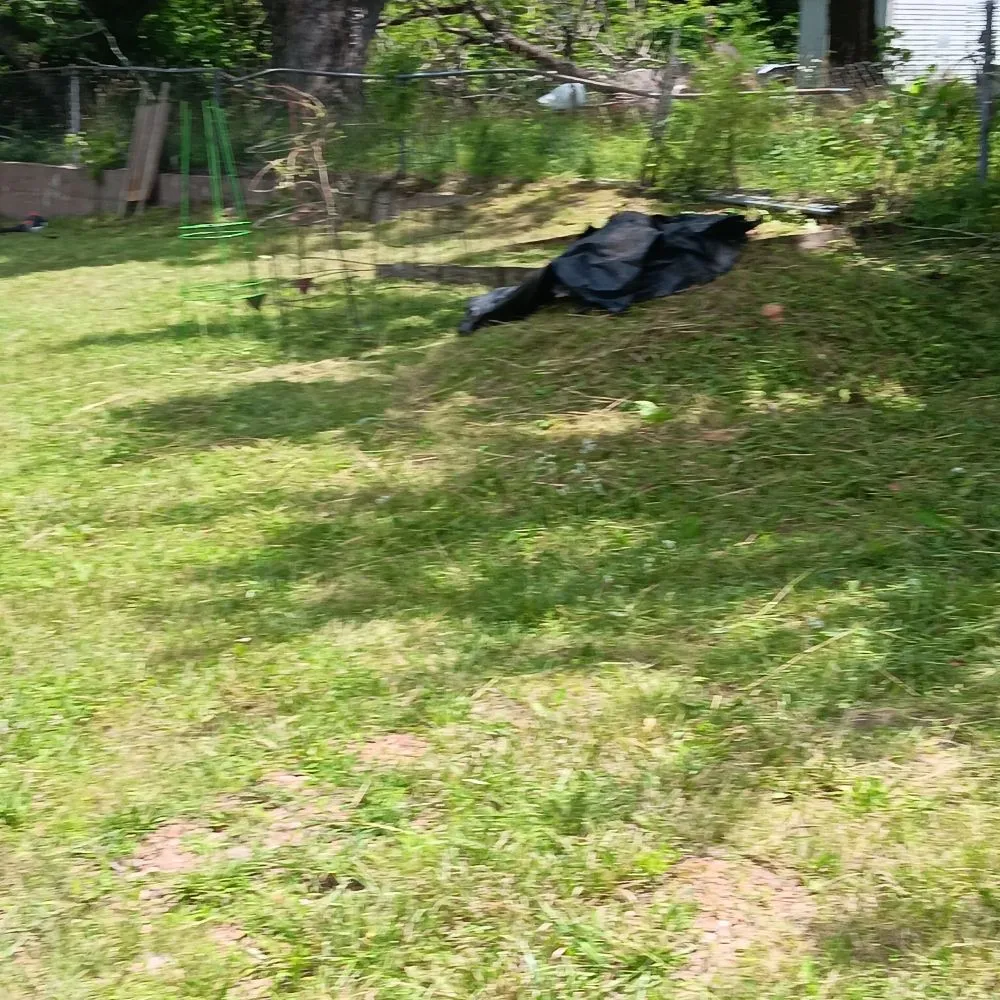 Affordable lawn mowing service for residential properties in Richland, MO by Circle T Lawn and Tree Services