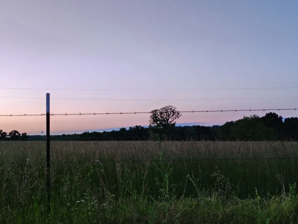 Professional residential landscaping in Richland, MO by Circle T Lawn and Tree Services