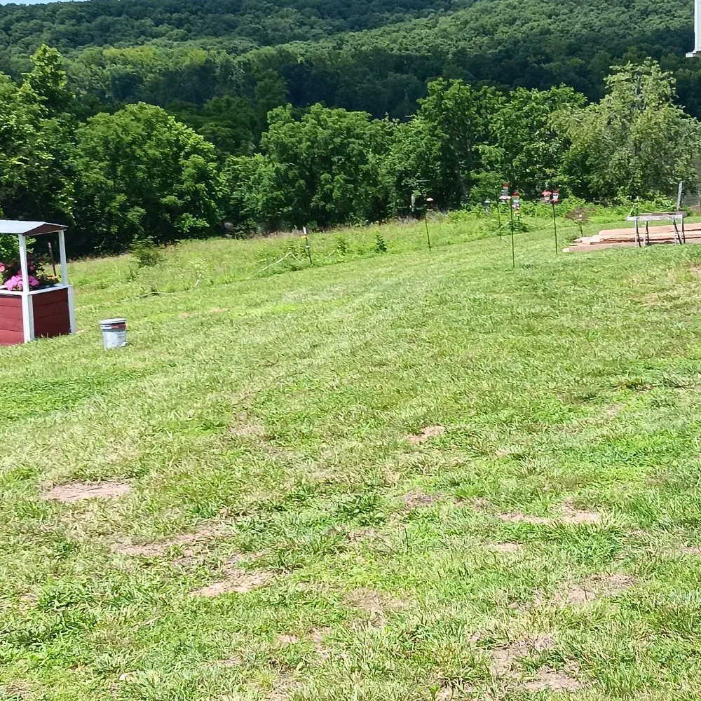 Expert landscape installation in Richland, MO - Circle T Lawn and Tree Services