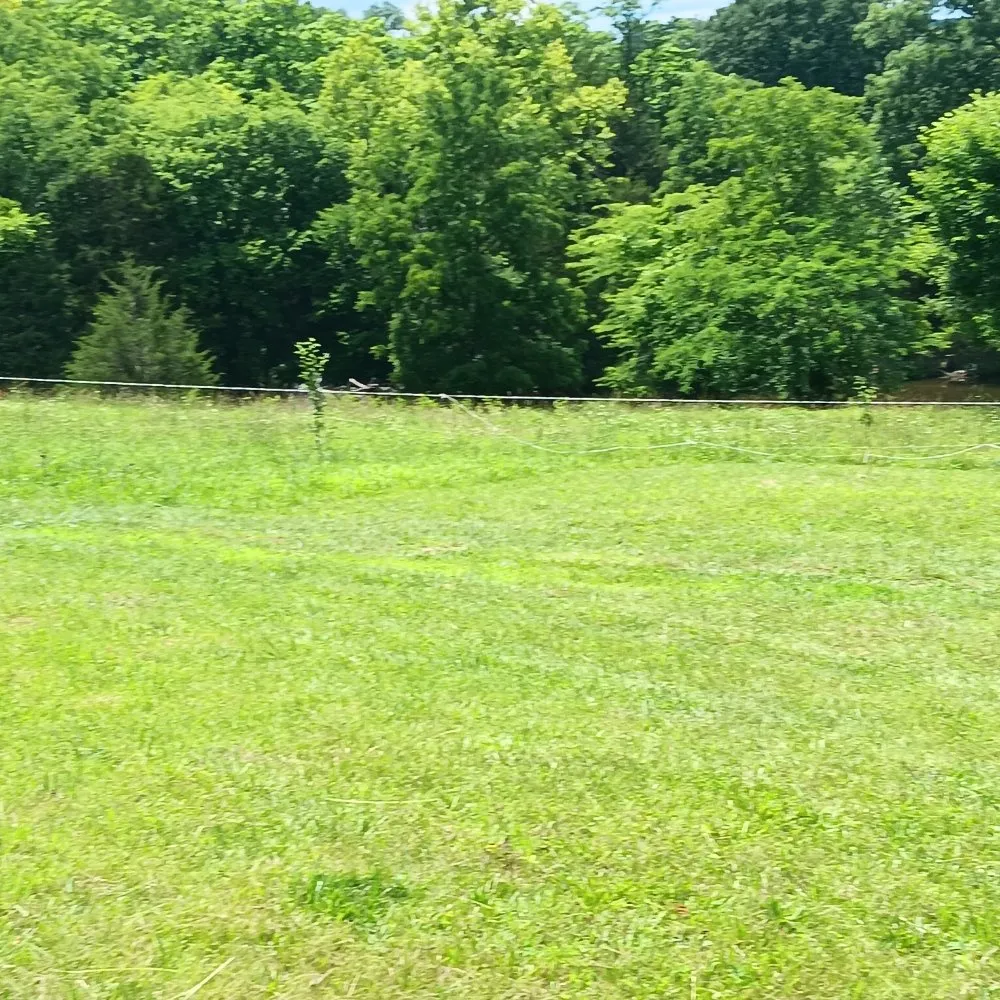 Local garden landscaping for homes across Richland, MO - Circle T Lawn and Tree Services