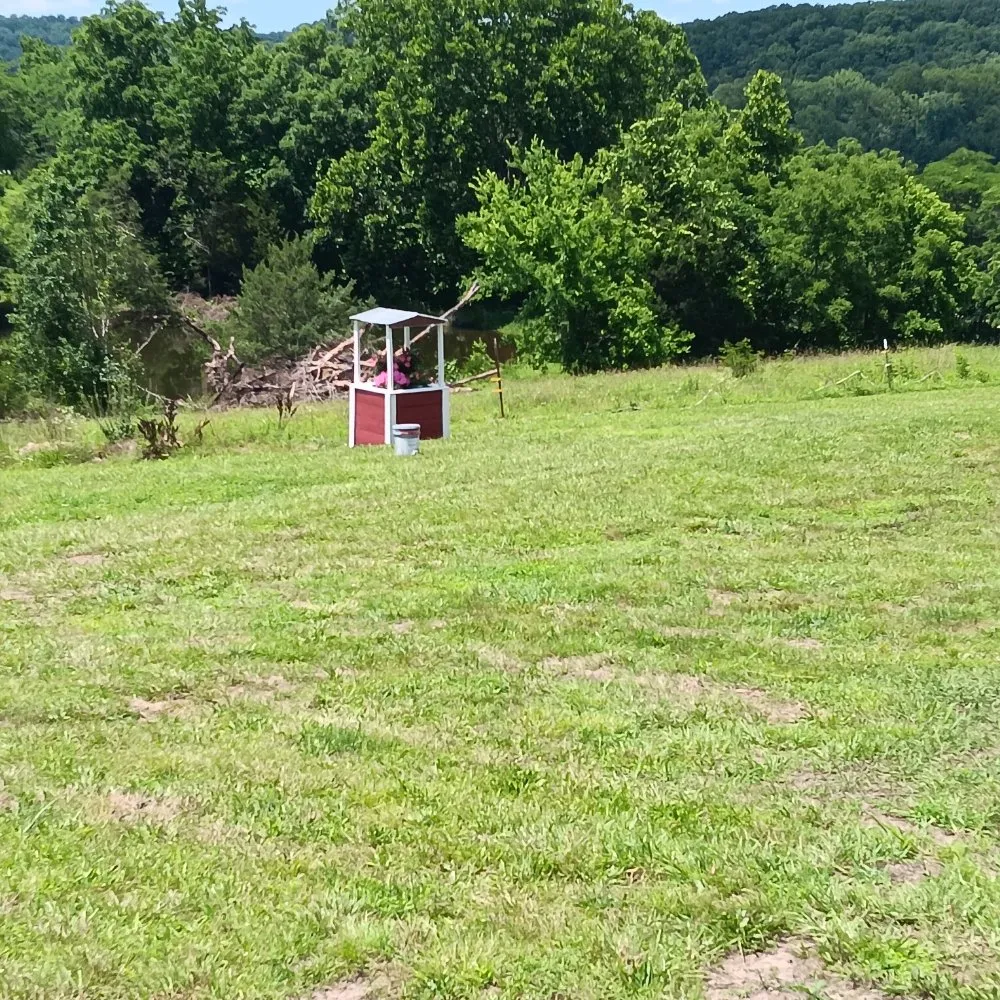 Local lawn mowing service in Richland, MO by Circle T Lawn and Tree Services