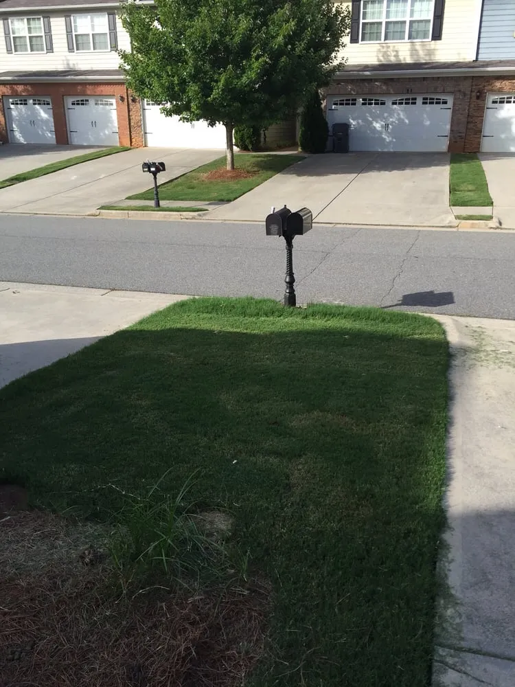 Local yard cleanup service experts serving Kennesaw, GA - Circle W Landscape