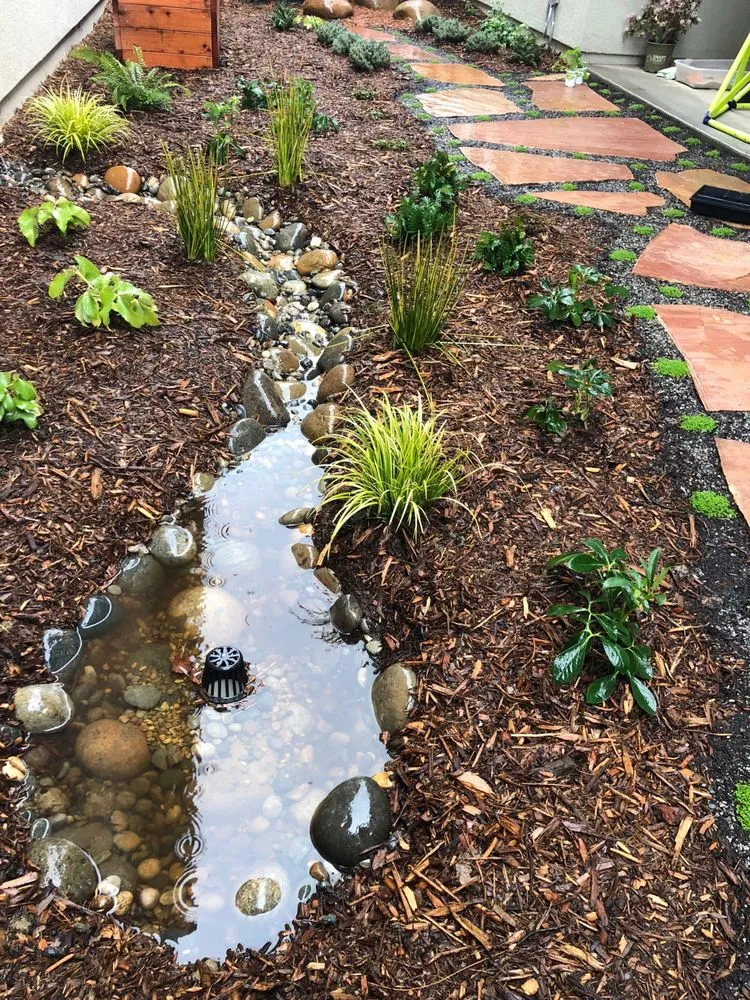 Local landscaping services in San Mateo, CA by Circlefoot Wellness Homes & Habitats