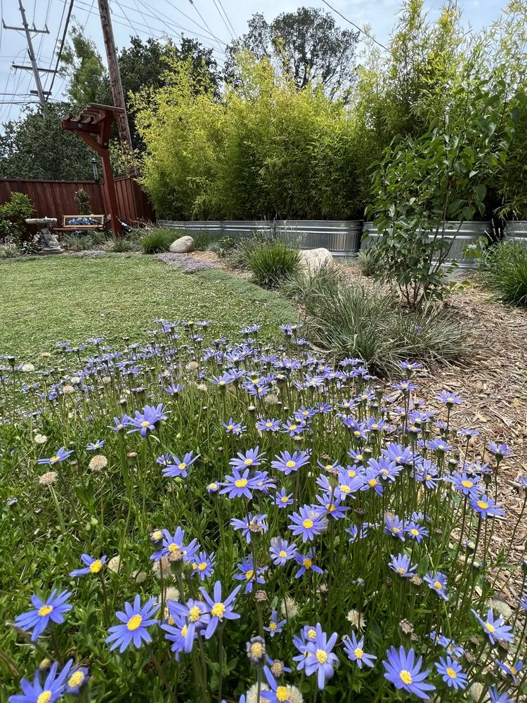 Reliable landscape installation in San Mateo, CA by Circlefoot Wellness Homes & Habitats