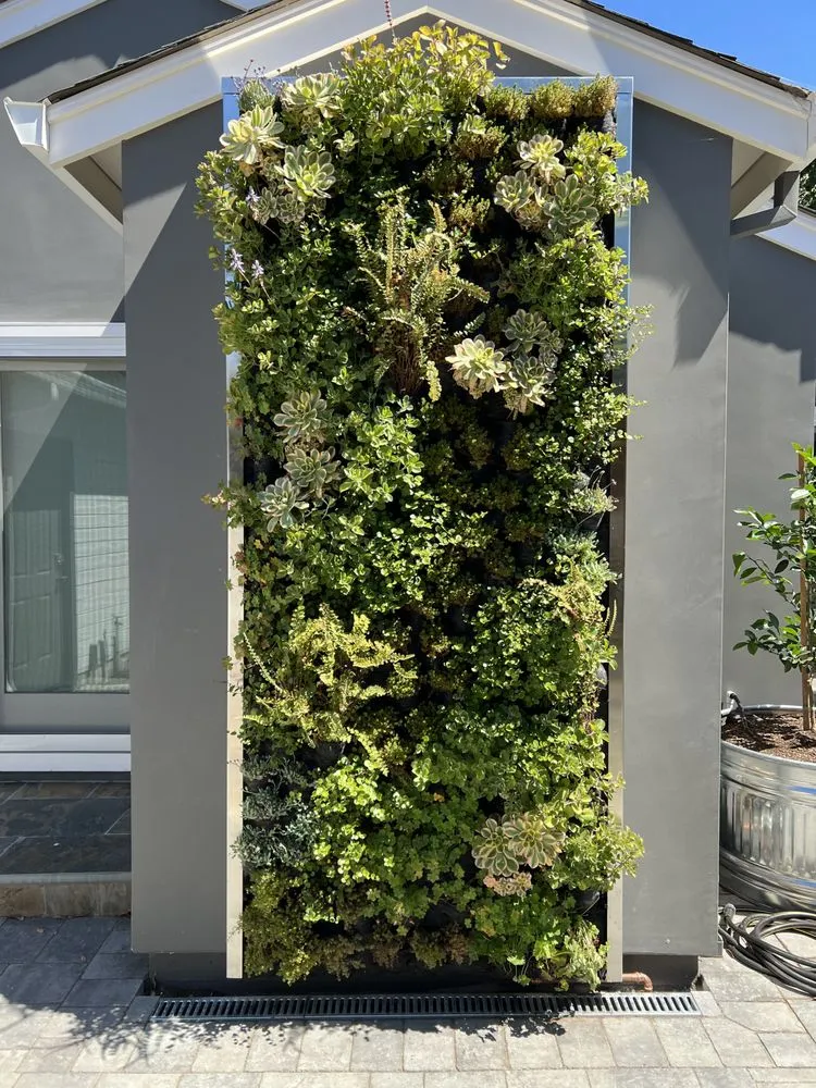 Professional landscape design in San Mateo, CA by Circlefoot Wellness Homes & Habitats