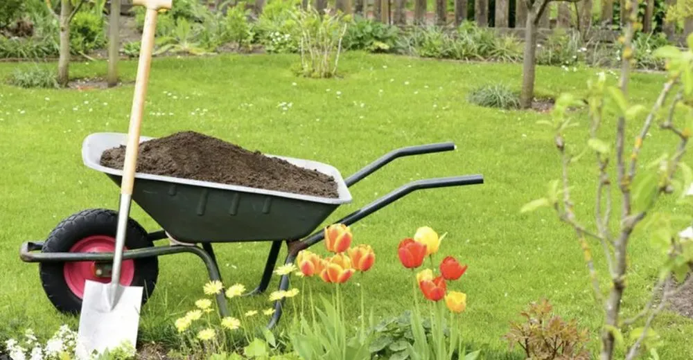 Custom lawn mowing service for outdoor upgrades in Pennsauken Township, NJ by Cirilli Landscaping