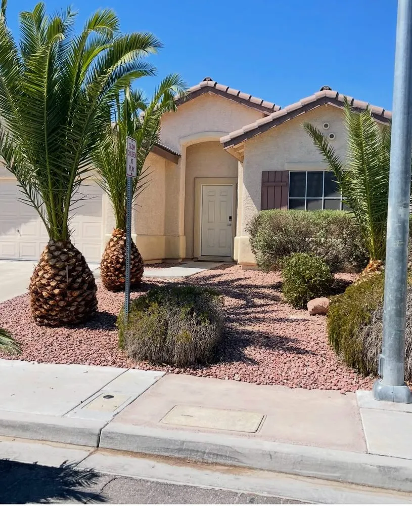 Affordable garden landscaping in Las Vegas, NV - Cirilo Landscaping