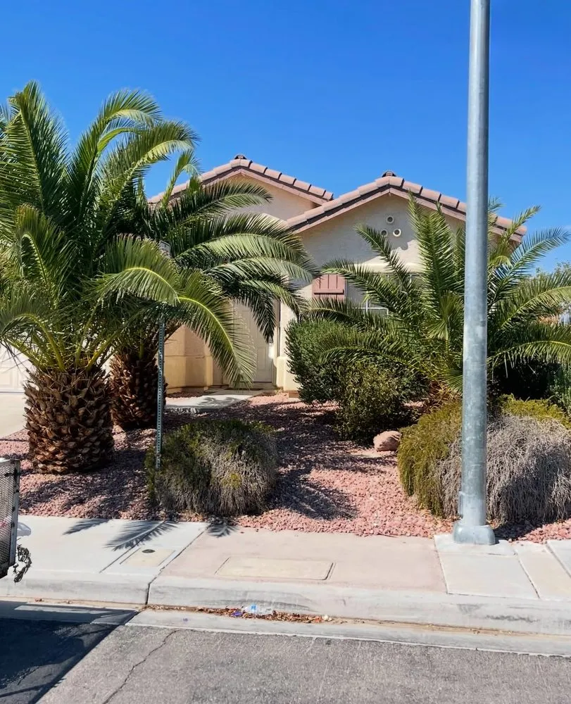 Custom landscape design near you in Las Vegas, NV by Cirilo Landscaping