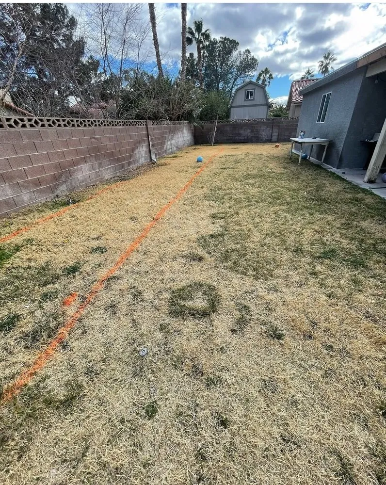 Expert yard cleanup service experts serving Las Vegas, NV - Cirilo Landscaping