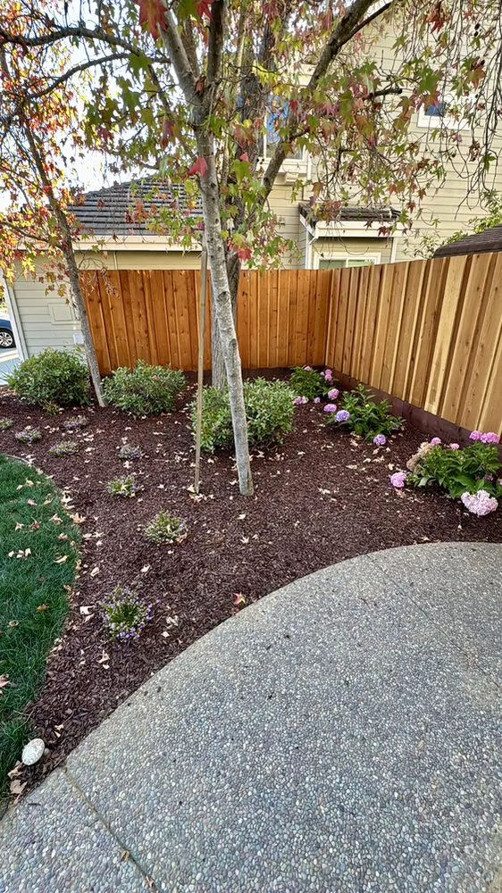 Affordable yard cleanup service in Concord, CA - Cirino's Fencing and Landscaping
