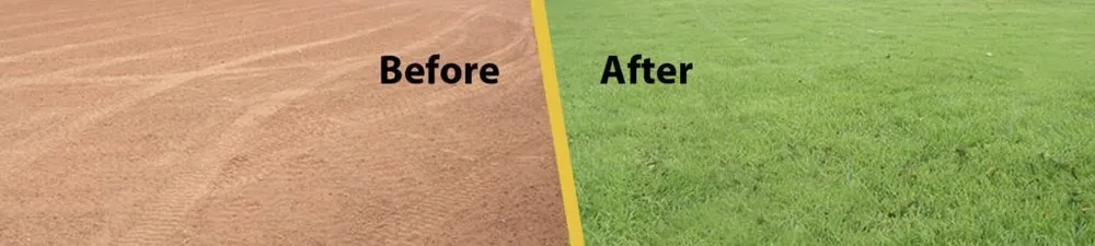 Reliable landscape design for homes in Spartanburg, SC by CIS Erosion Control & Hydroseeding