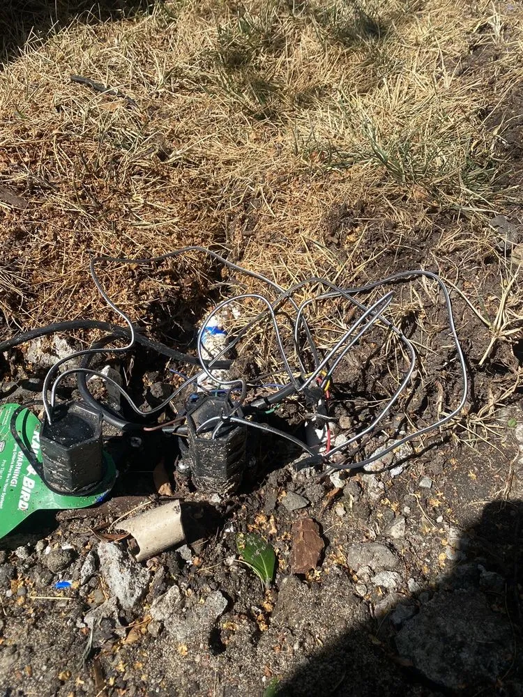 Local landscaping services for homes across Livermore, CA - Cisa Ramos