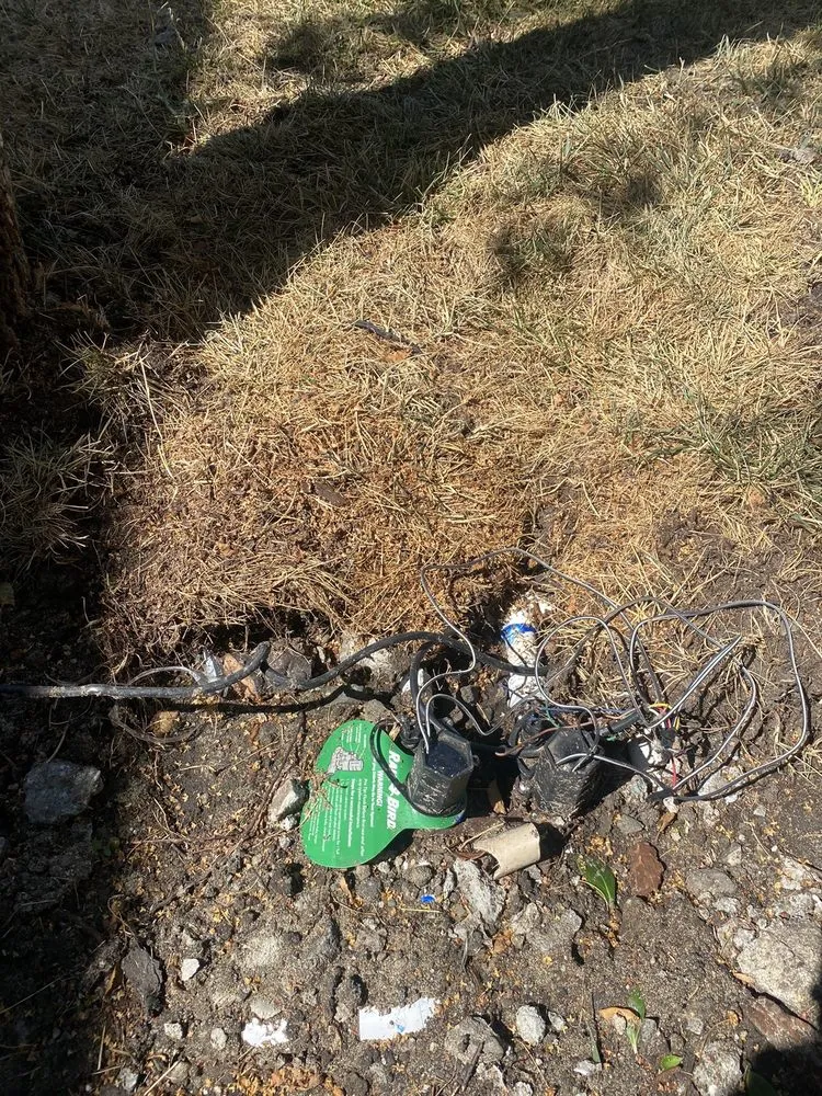 Trusted landscaping services experts serving Livermore, CA - Cisa Ramos