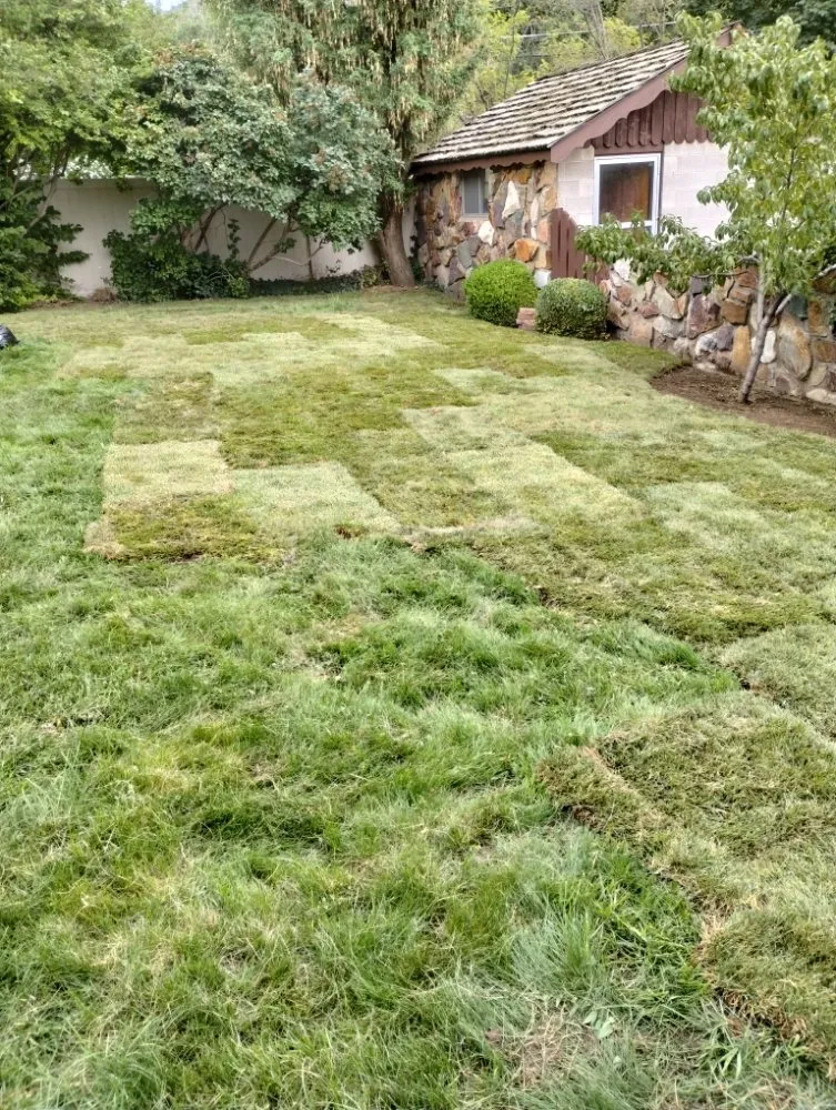 Affordable landscaping services for outdoor upgrades in Draper, UT by Cisco Gardening & Landscaping Services