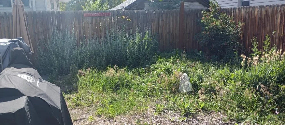 Reliable garden landscaping in Draper, UT - Cisco Gardening & Landscaping Services