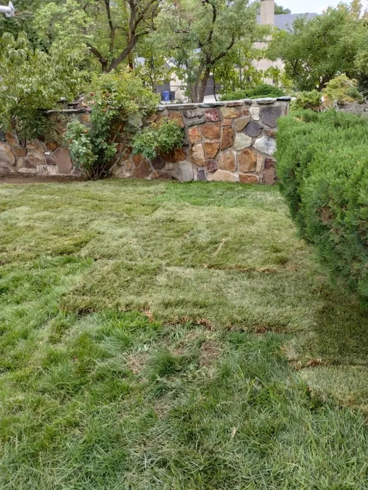 Expert residential landscaping for year-round maintenance across Draper, UT - Cisco Gardening & Landscaping Services